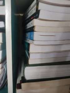 Minha pilha de livros